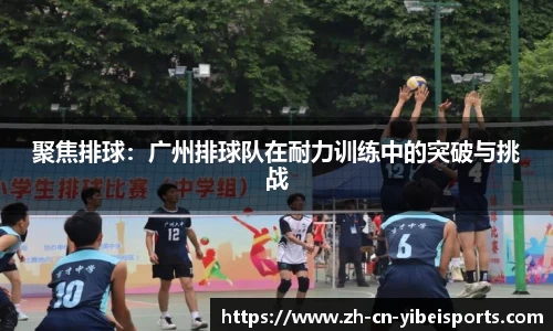 易倍体育(emc)平台